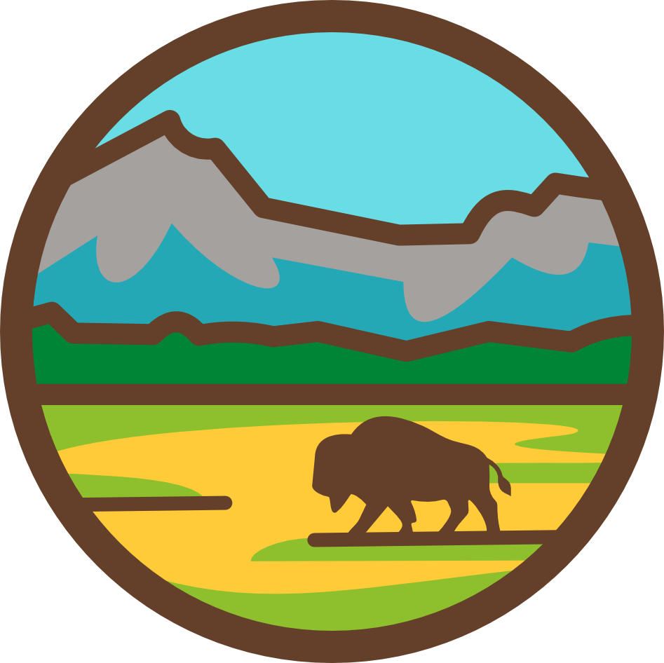 bison